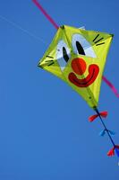 Set of flying colorful kites photo