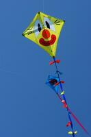 Set of flying colorful kites photo