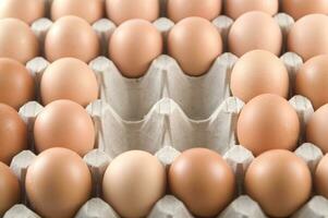 29,600+ Egg Tray Stock Photos, Pictures & Royalty-Free Images