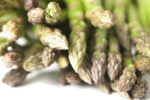 asparagus is a vegetable that is very popular photo