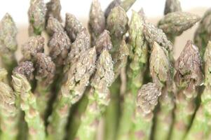 asparagus is a vegetable that is very popular photo