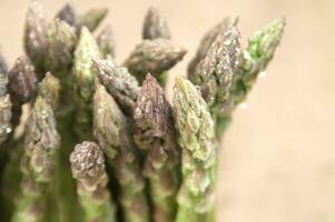 asparagus is a vegetable that is very popular photo