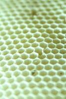 bee hives for honey production photo