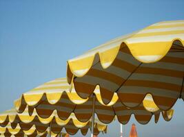 un fila de naranja y amarillo paraguas foto