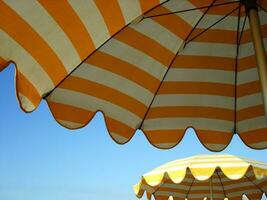 a row of orange and yellow umbrellas photo