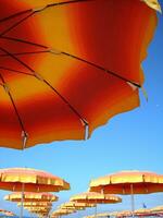 a row of orange and yellow umbrellas photo