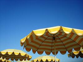 a row of orange and yellow umbrellas photo