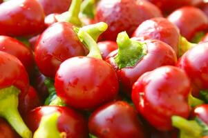 a bunch of red peppers sitting on a cloth photo