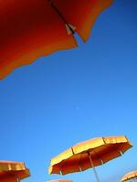 a row of orange and yellow umbrellas photo