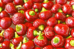 a bunch of red peppers sitting on a cloth photo