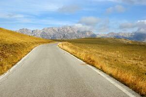 un la carretera con un detener firmar en el medio de un campo foto