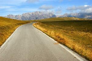 un la carretera con un detener firmar en el medio de un campo foto