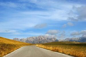 un la carretera con un detener firmar en el medio de un campo foto