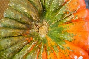 a close up of a pumpkin with a large orange center photo