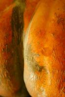 a close up of a pumpkin with a large orange center photo