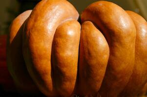 un cerca arriba de un calabaza con un grande naranja centrar foto