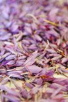 the saffron flower petal photo