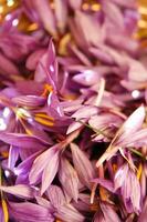 the saffron flower petal photo