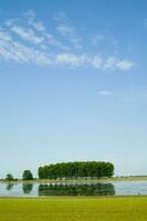 Rice fields in Vercelli Italy photo