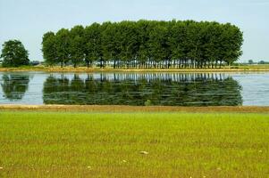 a field with water and grass in the middle photo