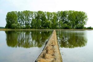 a field with a river of water running through it photo