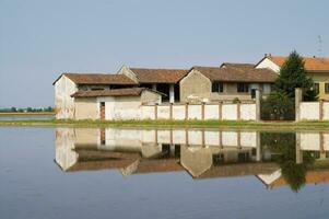 ancient farms in the rice fields in Vercelli Italy photo