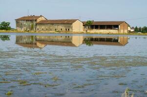 antiguo granjas en el arroz campos en vercelli Italia foto