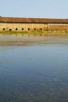 ancient farms in the rice fields in Vercelli Italy photo