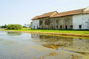 antiguo granjas en el arroz campos en vercelli Italia foto