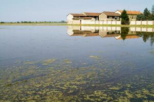 antiguo granjas en el arroz campos en vercelli Italia foto