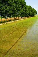 a field with a river of water running through it photo