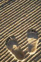 footprints in the sand photo