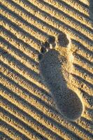 footprints in the sand photo