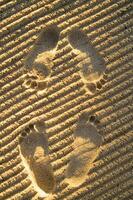 footprints in the sand photo