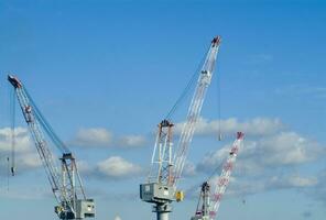 three cranes are standing in front of a blue sky photo