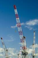 three cranes are standing in front of a blue sky photo