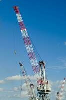 three cranes are standing in front of a blue sky photo