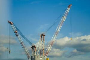 three cranes are standing in front of a blue sky photo