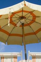 two lounge chairs under an umbrella photo