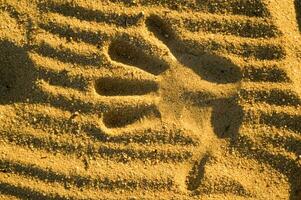 a hand print in the sand with two hands photo