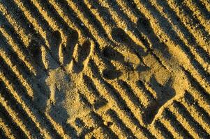 un mano impresión en el arena con dos manos foto