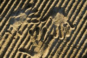 a hand print in the sand with two hands photo