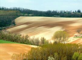 countryside view in spring photo