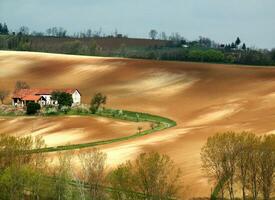 countryside view in spring photo