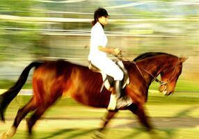 un persona montando un caballo foto