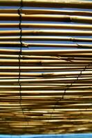 a close up of bamboo poles with a blue sky in the background photo