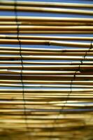 a close up of bamboo poles with a blue sky in the background photo