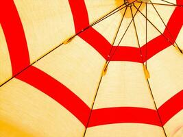 classic summer umbrellas photo