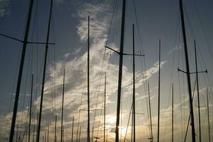 mástiles de veleros a puesta de sol foto