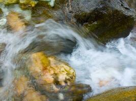 a leaf on a rock in a stream photo